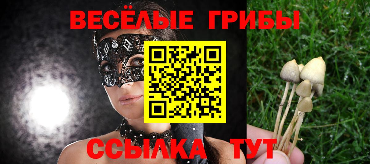 Волгодонск  Галлюциногенные грибы Magic Shrooms  Вход с VPN 