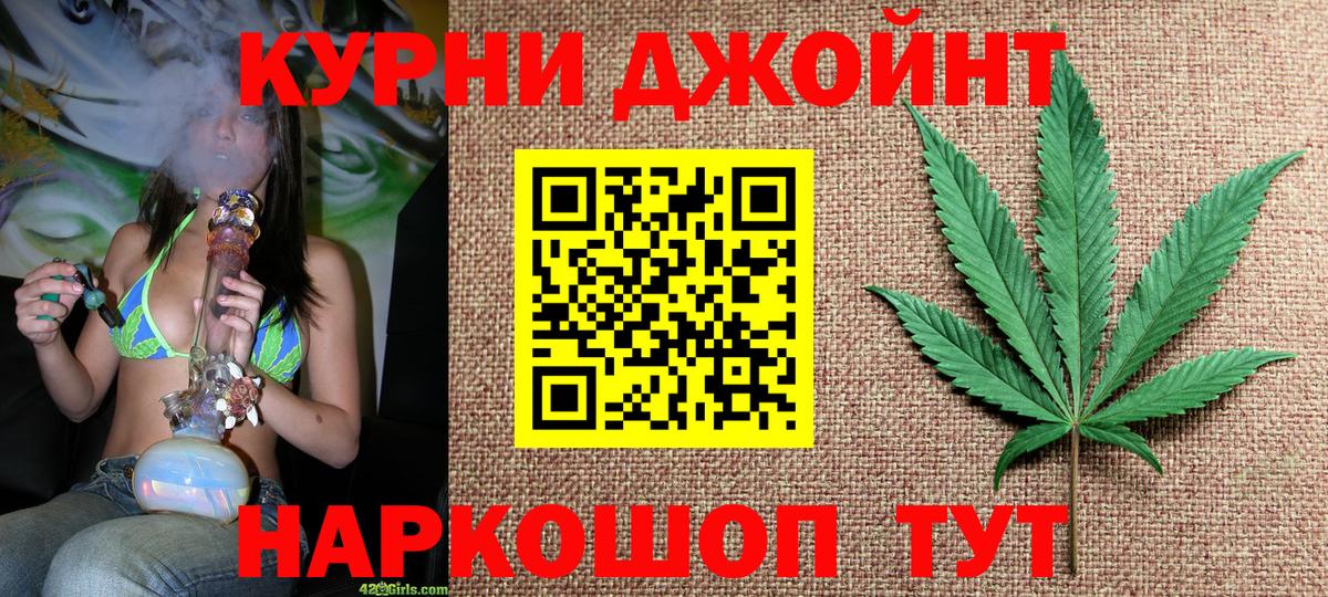 Шишки марихуана семена Волгодонск